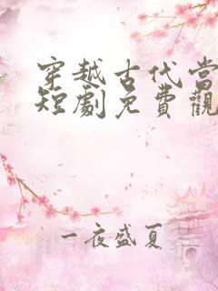 穿越古代当家丁短剧免费观看