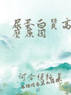 尿蛋白质高是什么原因