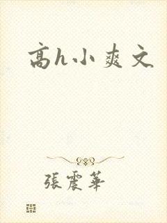 高h小爽文
