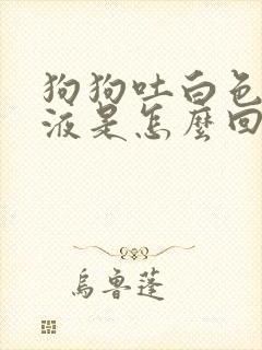 狗狗吐白色的粘液是怎么回事