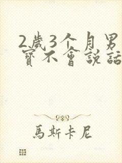 2岁3个月男宝宝不会说话怎么办