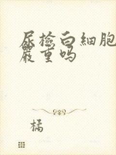 尿检白细胞十3严重吗