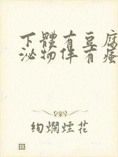 下体有豆腐渣分泌物伴有瘙痒用啥药