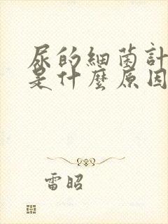 尿的细菌计数高是什么原因