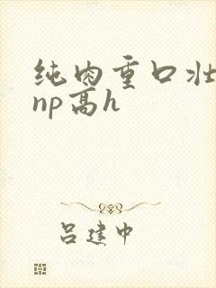 纯肉重口壮汉受np高h