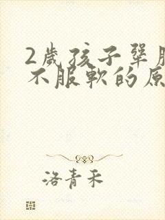 2岁孩子犟脾气不服软的原因