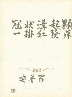 冠状沟起颗粒发一排红发痒