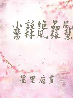 小说绝品风流狂医林风张慧无弹窗