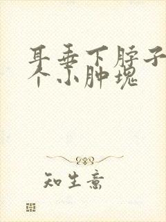 耳垂下脖子上一个小肿块