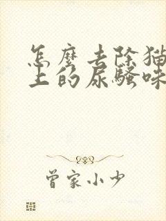 怎么去除猫咪身上的尿骚味