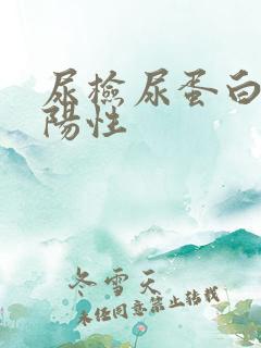 尿检尿蛋白质弱阳性