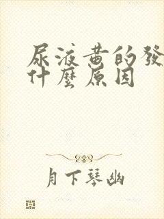 尿液黄的发红是什么原因