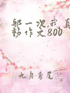 那一次,我真感动作文800