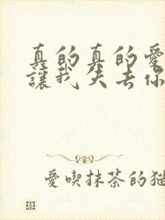 真的真的爱你别让我失去你是什么歌