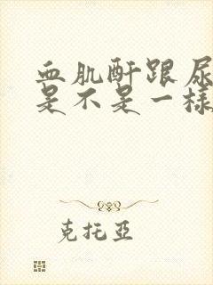 血肌酐跟尿肌酐是不是一样