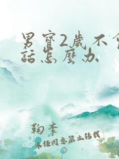 男宝2岁不会说话怎么办