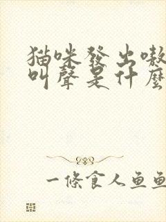 猫咪发出嗷嗷的叫声是什么意思