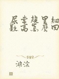 尿常规里细菌计数高怎么回事