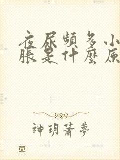 夜尿频多小腹坠胀是什么原因