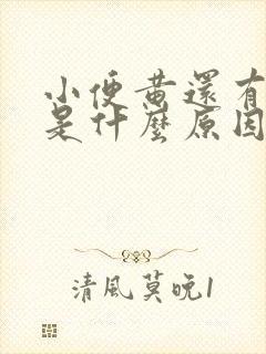 小便黄还有异味是什么原因引起的