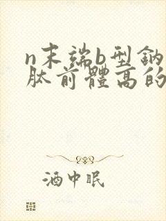 n末端b型钠尿肽前体高的原因