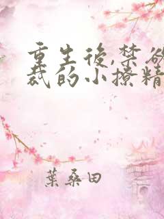 重生后,禁欲总裁的小撩精甜疯了