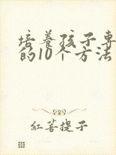 培养孩子专注力的10个方法