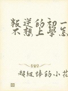 叛逆的初一学生不想上学怎么办