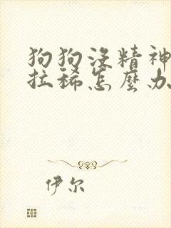 狗狗没精神呕吐拉稀怎么办