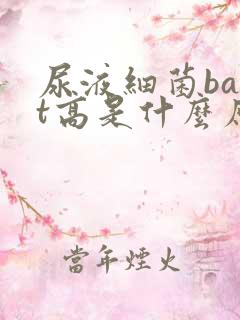 尿液细菌bact高是什么原因