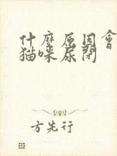 什么原因会导致猫咪尿闭