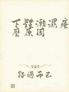 下体潮湿瘙痒什么原因