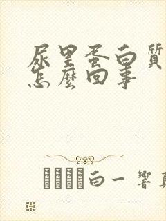 尿里蛋白质高是怎么回事