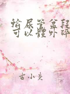 输尿管盆段结石可以体外碎石吗