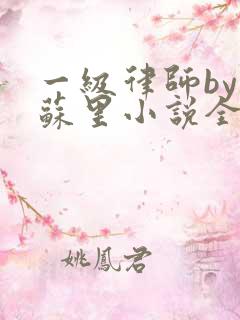 一级律师by木苏里小说全文免费阅读