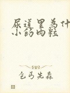 尿道里为什么有小的肉粒