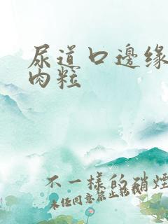 尿道口边缘白色肉粒