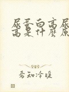 尿蛋白高尿肌酐高是什么原因