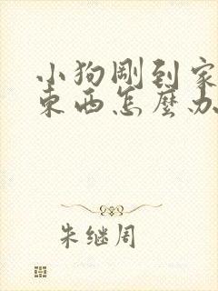 小狗刚到家不吃东西怎么办