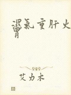 湿气重肝火旺脾胃