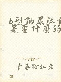 b型钠尿肽前体是查什么的