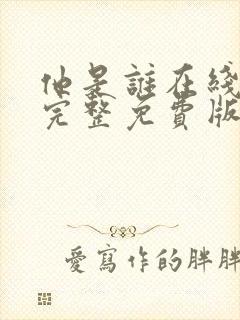 他是谁在线观看完整免费版电视剧