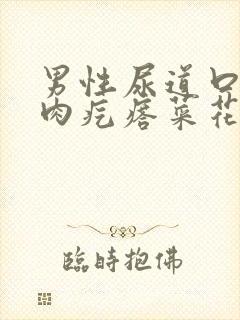 男性尿道口有小肉疙瘩菜花状