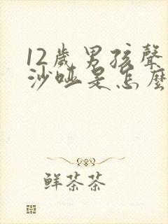 12岁男孩声音沙哑是怎么回事