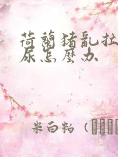 荷兰猪乱拉屎拉尿怎么办