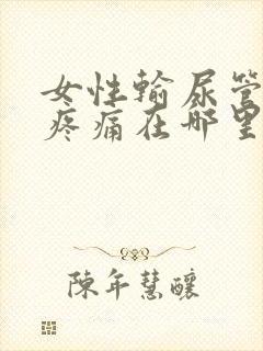 女性输尿管结石疼痛在哪里