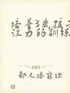 培养3岁孩子专注力的训练方法