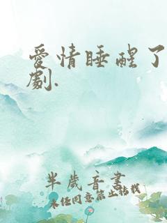 爱情睡醒了电视剧.