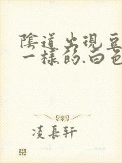 阴道出现豆腐渣一样的.白色东西怎么回事