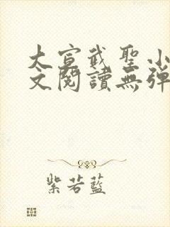 大宣武圣小说全文阅读无弹窗